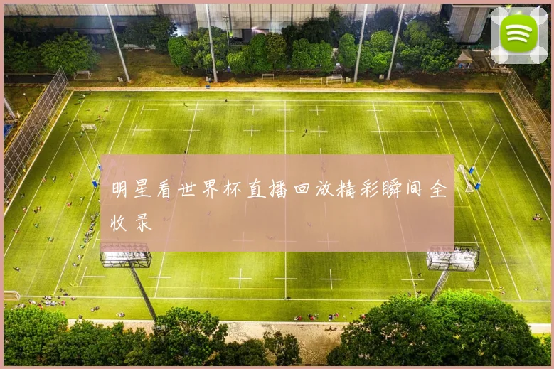 明星看世界杯直播回放精彩瞬间全收录